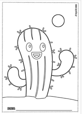 kaktaki, cactus
