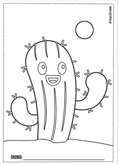 kaktaki, cactus